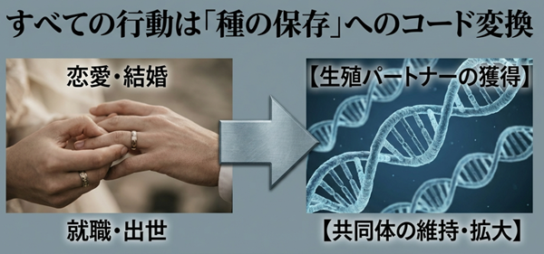 DNAの二重螺旋構造の背景画像とともに、恋愛、結婚、就職、出世といった社会活動が、すべて「生殖パートナーの獲得」や「共同体の維持」という生物学的コードに変換される仕組みを示した図。