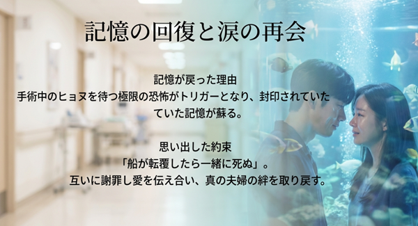 手術中の恐怖がトリガーとなり記憶を取り戻したヘインと、夫婦の絆を取り戻す感動の再会シーンの解説