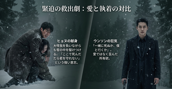 大怪我を負いながらヘインを救うヒョヌの愛と、歪んだ所有欲を見せるウンソンの対比を描いた解説図