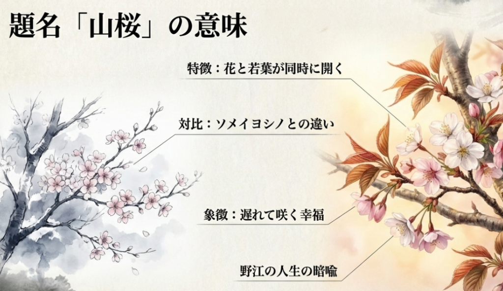 タイトル山桜の意味と象徴するもの