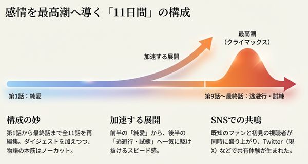 全11話を再編集し、前半の純愛から後半の逃避行・試練へと一気に駆け抜けるスピード感でSNSでの共有体験を生み出した放送構成の解説。